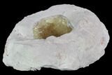 Fluorescent Calcite Geode In Sandstone - Morocco #89690-2